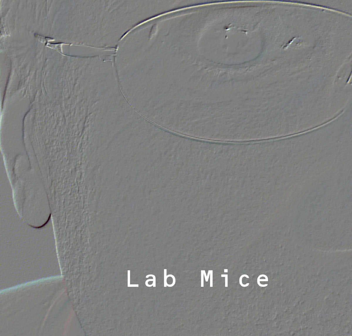 Lab Mice Lab Mice