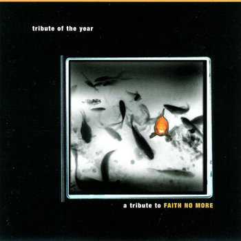 Music | Window Pane