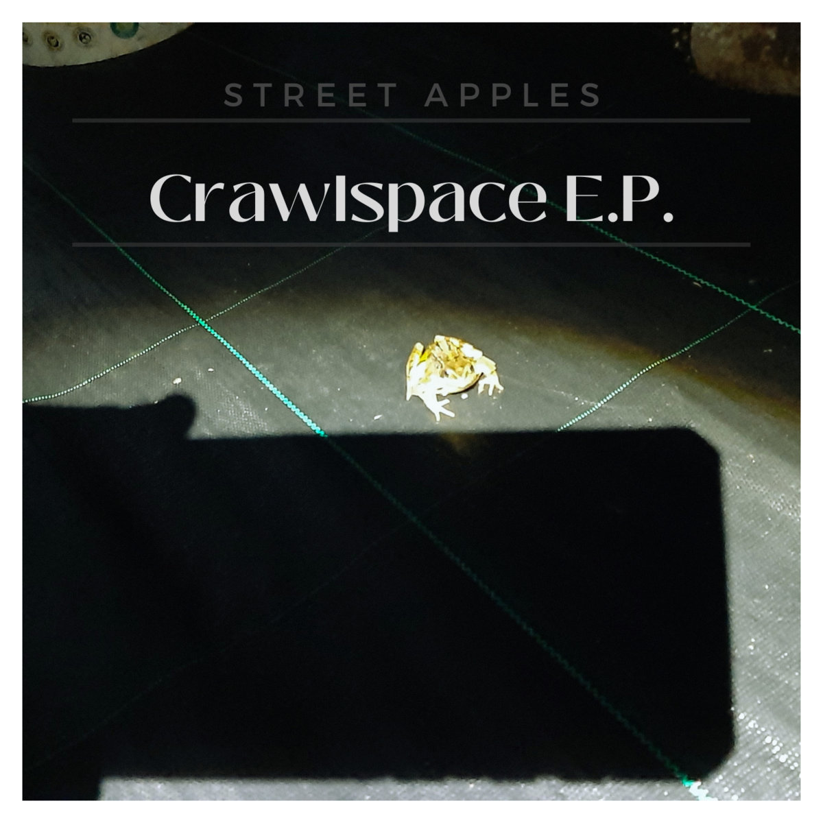 Crawlspace E.P. cover