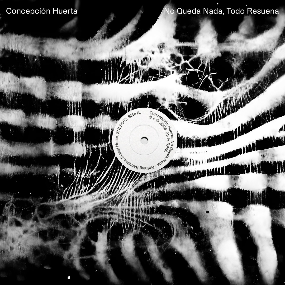 Black-and-white abstraction of pale filaments streaking across dark ribbed bands, with a plain white record label at the center. Artist name and album title in white type across the top.