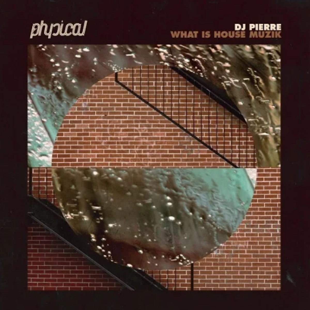 What Is House Muzik (Ricardo Villalobos What Is Remix) | DJ Pierre