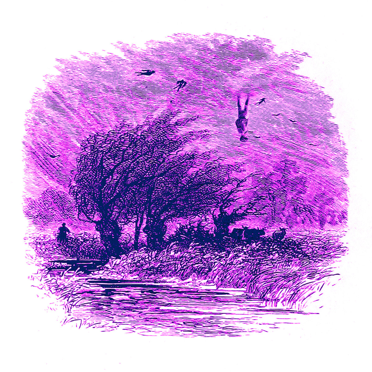 Hope Orphan King orphan king bandcamp