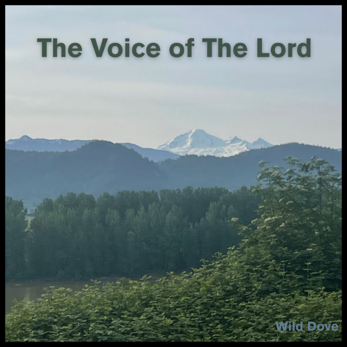 The Voice of The Lord | Wild Dove