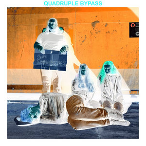 SIN DUMPSTER [ONE YEAR DELUXE EDITION] cover