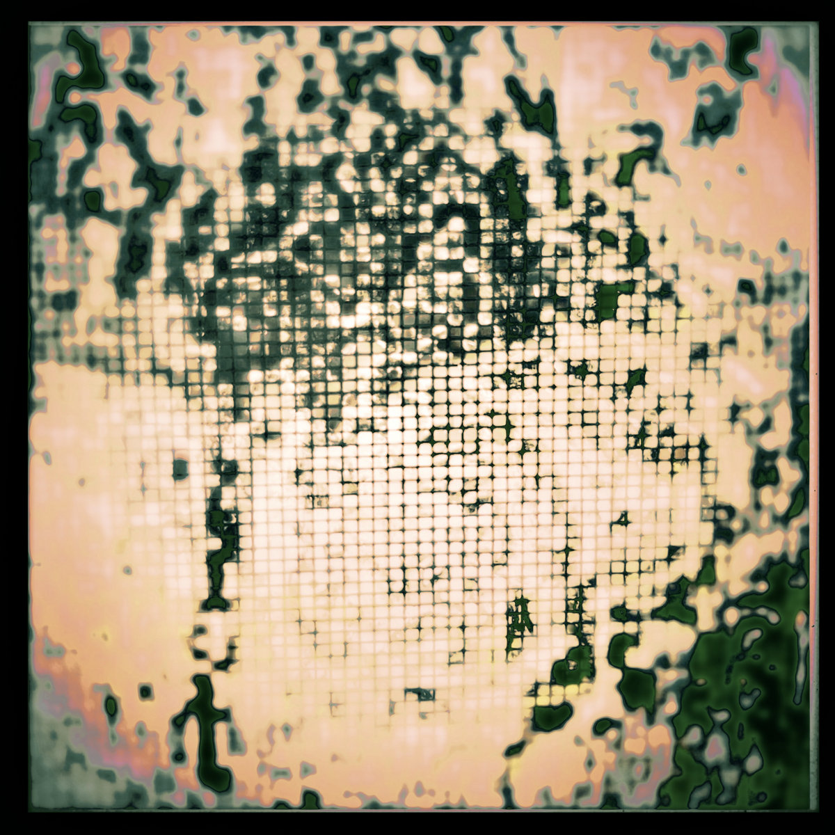 a hundred trees waiting