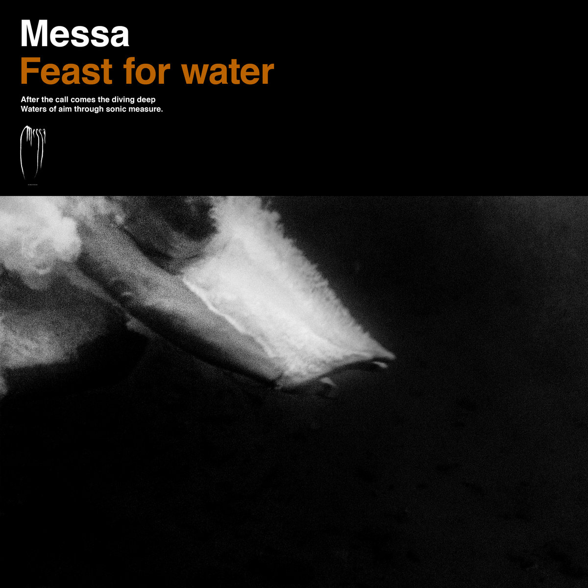Image result for messa feast for water