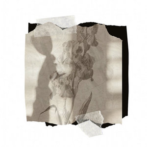 Iris cover