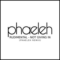 Not Giving In (Phaeleh Remix) cover art
