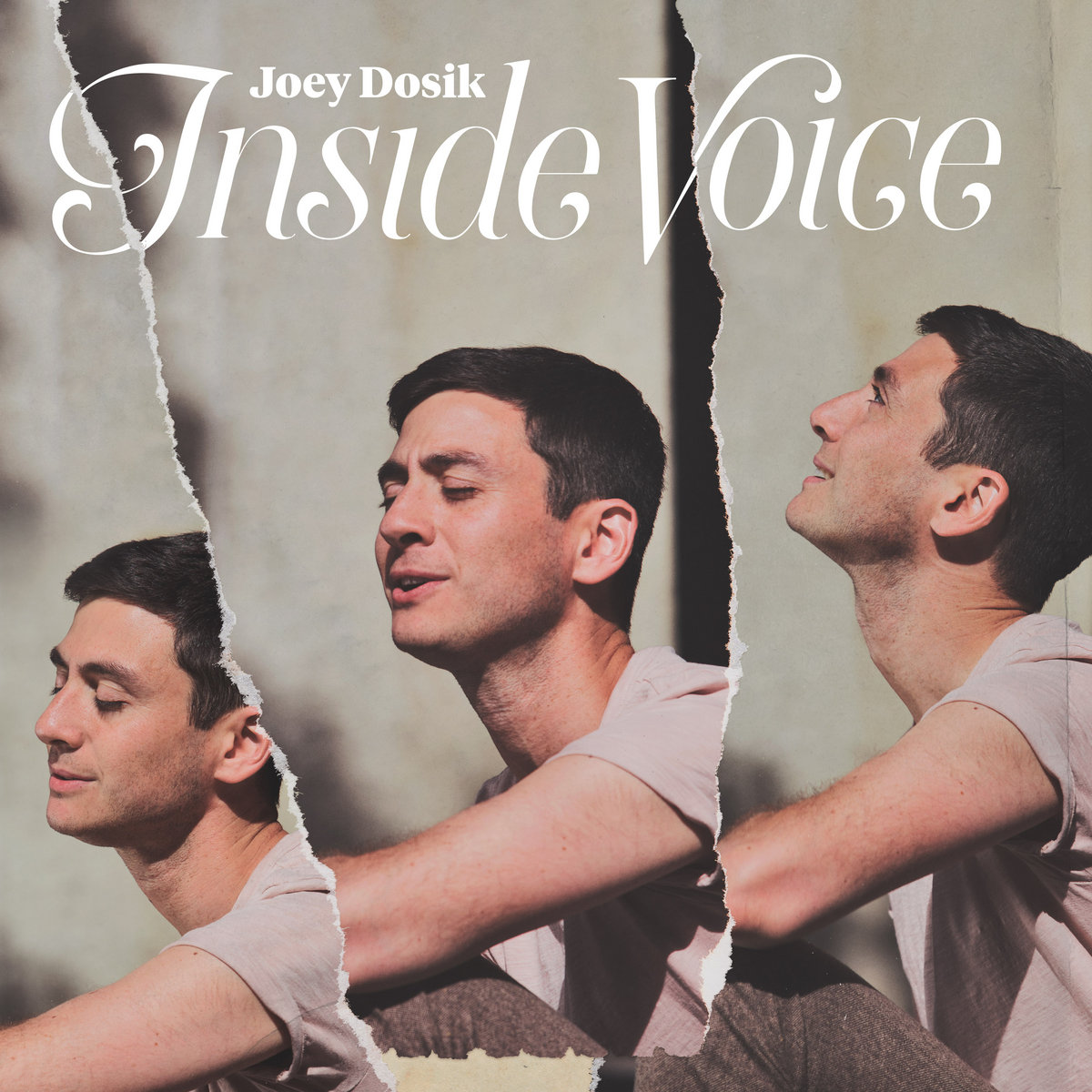 Inside Voice | Joey Dosik