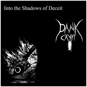Into the Shadows of Deceit cover