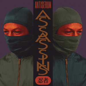 Assassins cover