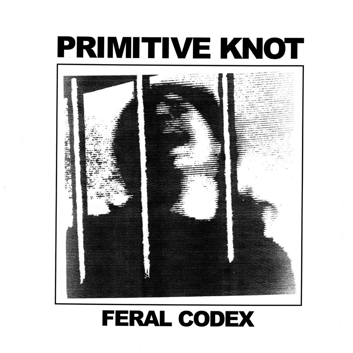 terminal-zone-primitive-knot