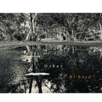 Other (single) cover art