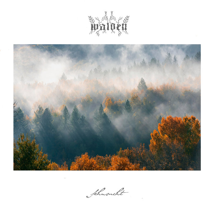 walden — Photo