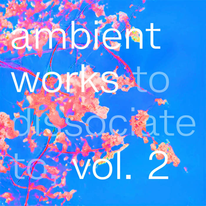 ERNEST STRAUHAL - Ambient Works to Dissociate to, Vol. 2