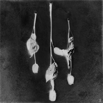 Music | Reflections