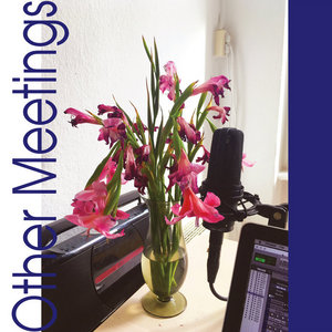 Other Meetings cover