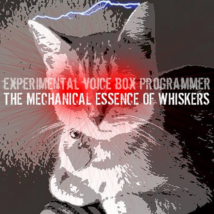 The Mechanical Essence Of Whiskers | evbp