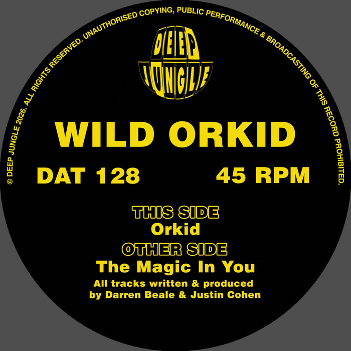 Pochette de DAT128 Wild Orkid - The Magic In You / Orkid par Wild Orkid