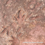 McFadden - Long Distance Information