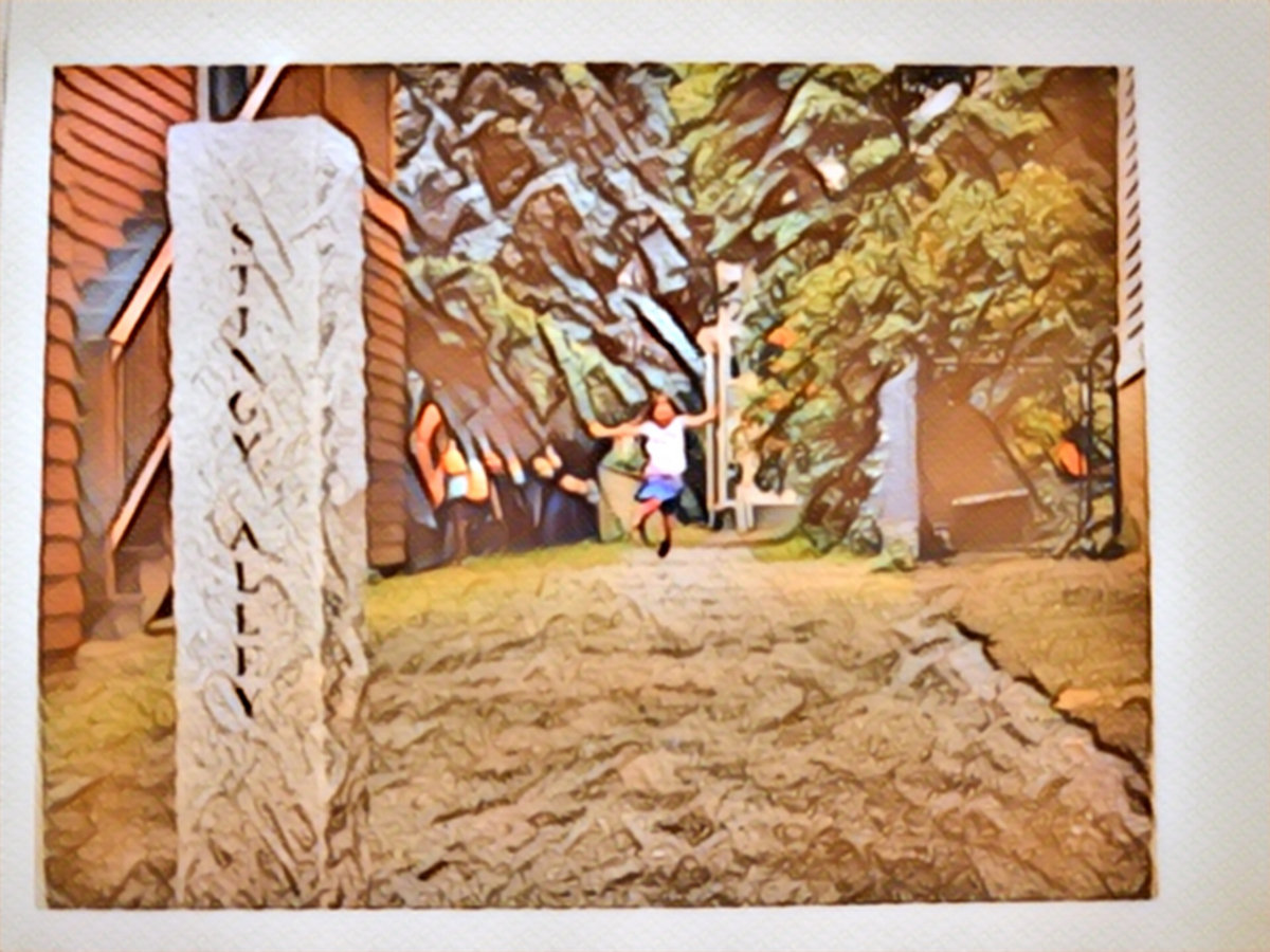 Stingy Alley Paul Rocha