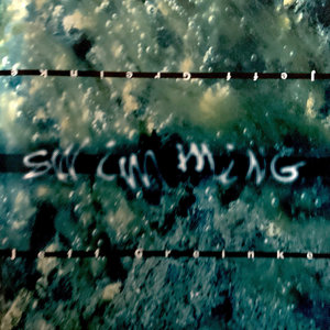Swimming cover