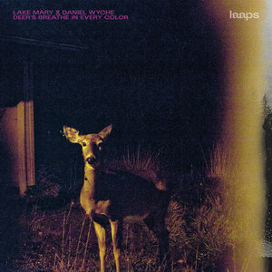 Deer's Breathe In Every ColorLake Mary & Daniel Wyche cover
