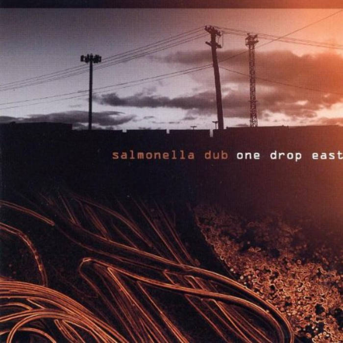 Salmonella Dub: Dub Survivor