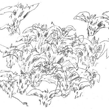 list image