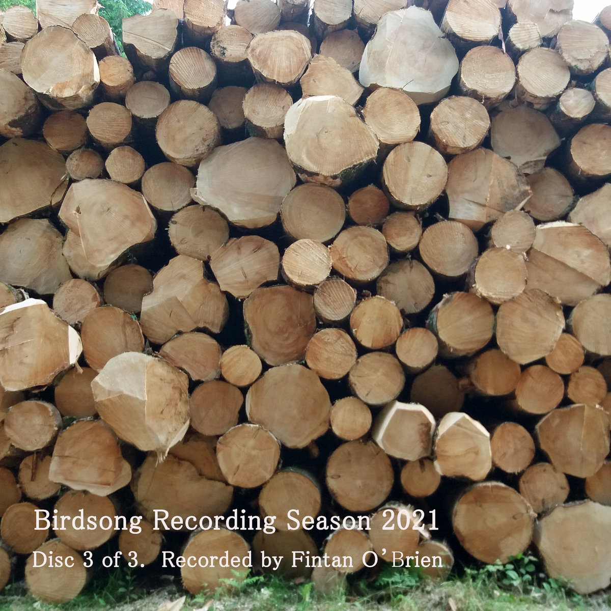 Birdsong Recording Season 2021 Disc 3 of 3 Fintan O'Brien