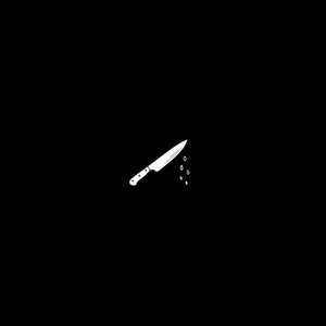 PulseLYNY & FLY cover