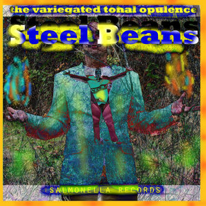 Steel Beans — The Variegated Tonal Opulence (2011)
