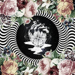 Tim Schaufert Cashforgold Taking Flight Cashforgold tim schaufert cashforgold taking