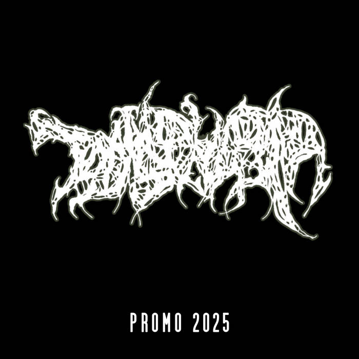 PROMO 2025 | DYSPHAGIA | Vile Tapes Records