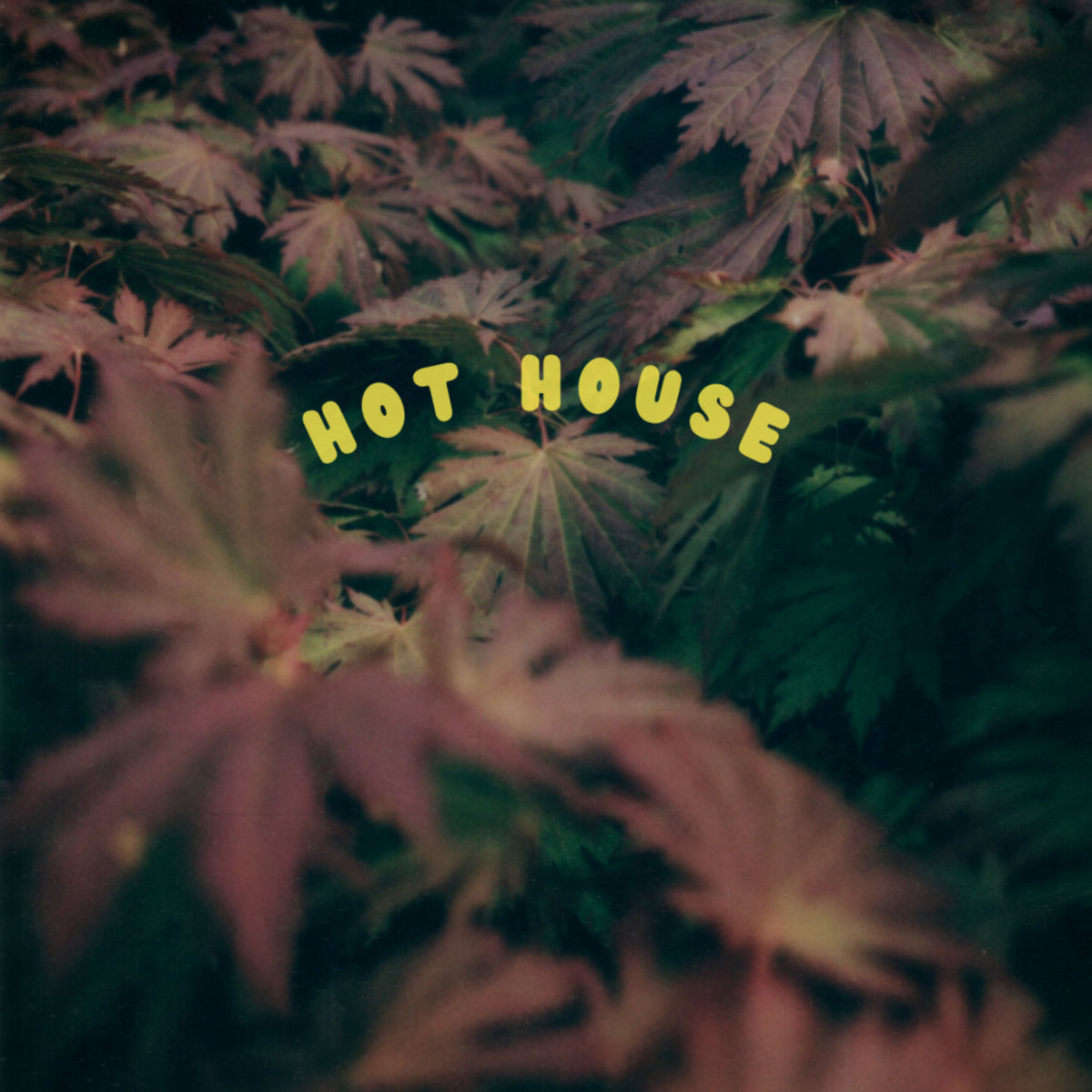 Hot House