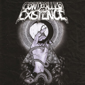 CONTROLLED EXISTENCE / NEEDFUL THINGS cover