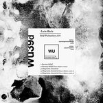 Self Pulsation - WU39d