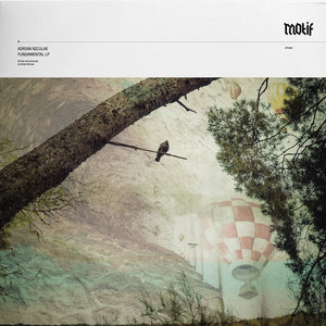 Fundamental LP (Motif003)Adrian Niculae cover
