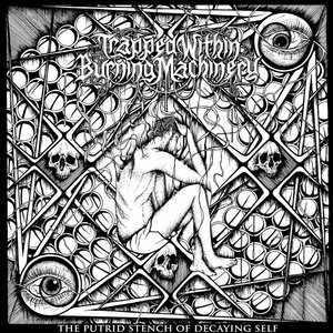 The Putrid Stench Of Decaying Self (reissue) cover