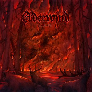 FiresElderwind cover