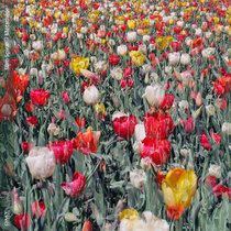 Partie 2 : Métathèse cover art