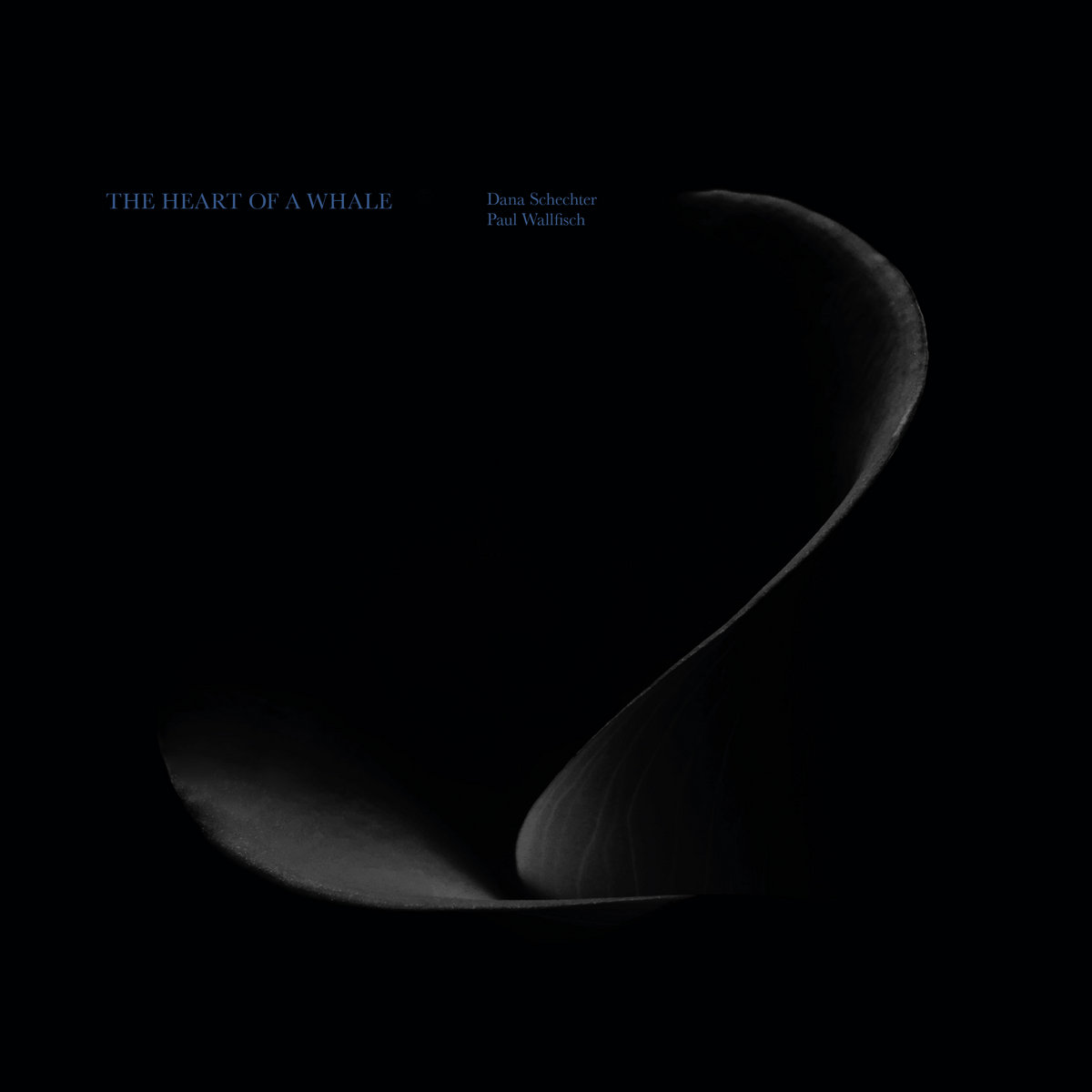 オーストリアLP Dana Schechter, Paul Wallfisch Heart Of A Whale TR261 TAPETE 未開封 /00260 The Heart Of A Whale | Dana Schechter & Paul Wallfisch | trost records