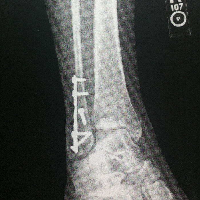 MakeOut Version Horse Jumper of Love