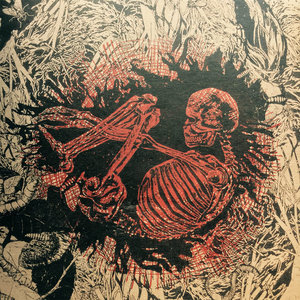 Ceschi / Pat The Bunny Split LPCeschi & Pat The Bunny cover