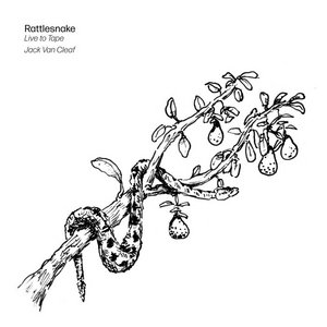 Rattlesnake (Live to Tape) cover