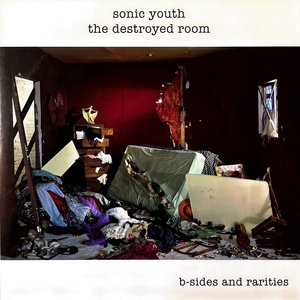 The Destroyed Room cover
