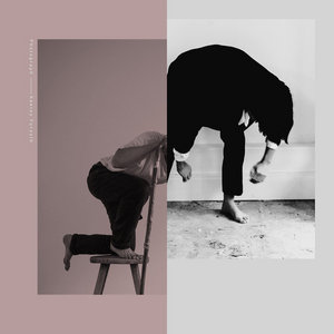 Debris + Photograph Bundle cover