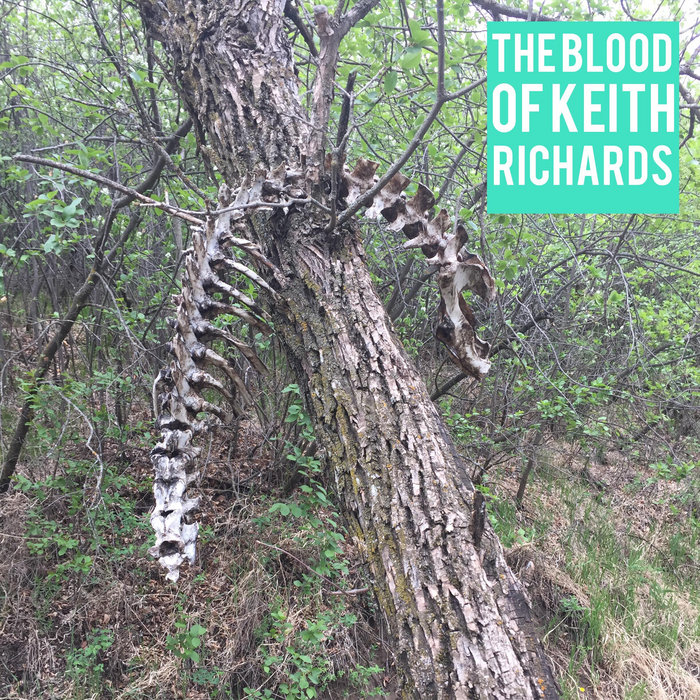 James Brown Celebrity Hot Tub Party The Blood Of Keith Richards