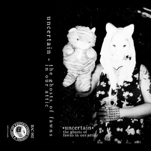 Uncertain — The Ghosts of Fawns in our Attic