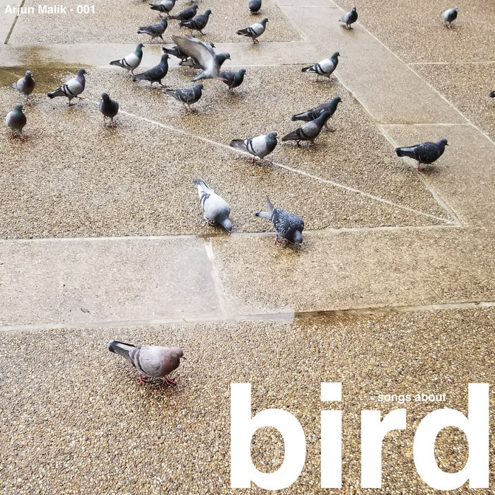 Songs About Bird (Deluxe) | Hydrofluoric Acid